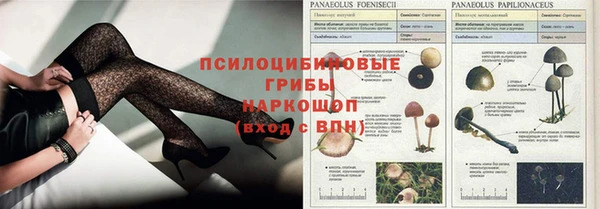 спиды Богданович