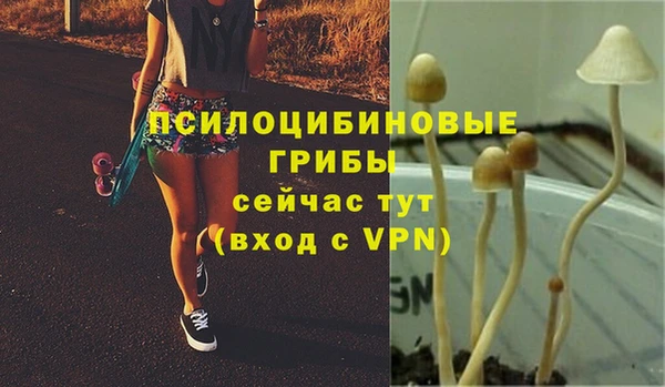 синтетический гашиш Белоозёрский
