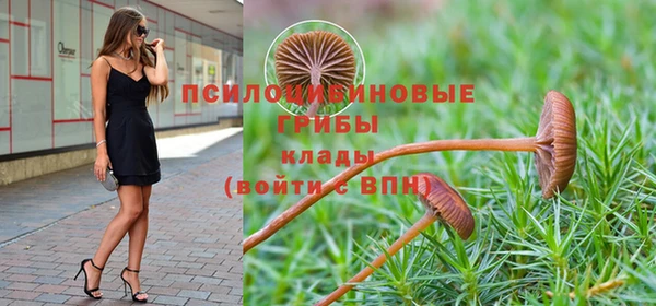 стафф Богородск