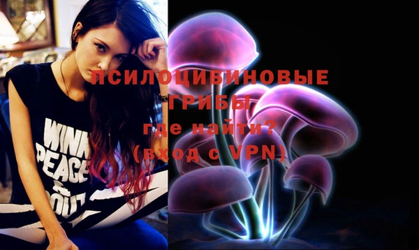ПСИЛОЦИБИНОВЫЕ ГРИБЫ Бугульма