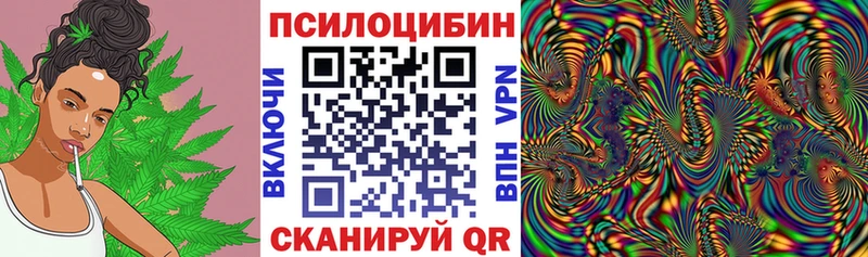 Галлюциногенные грибы прущие грибы  наркотики  Верхняя Пышма 