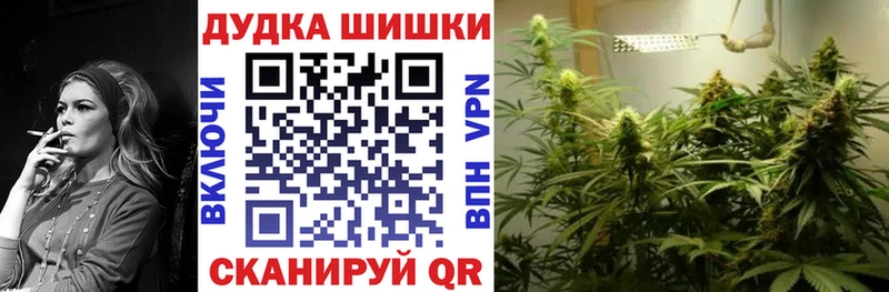 дарнет шоп  Верхняя Пышма  Каннабис ГИДРОПОН 